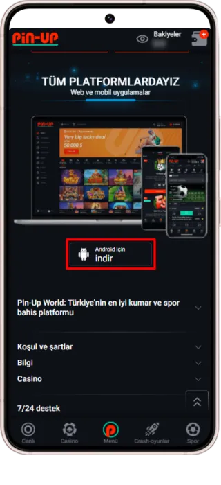 Pinup - How To Indir