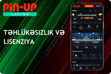 Təhlükəsizlik, Məlumatların Qorunması və Lisenziya